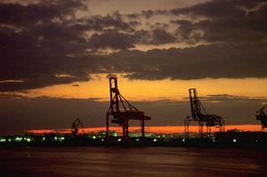 多色印刷の転写箔を販売する会社