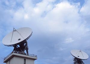 有機肥料を利用したいと考えているなら